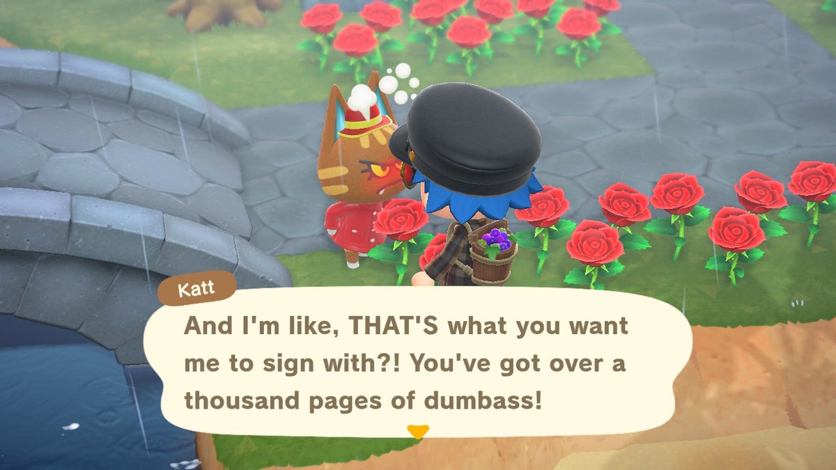 Goodb0wies's tweet photo. Katt snapped with this one... #AnimalCrossing https://t.co/3lVv1IfBCr