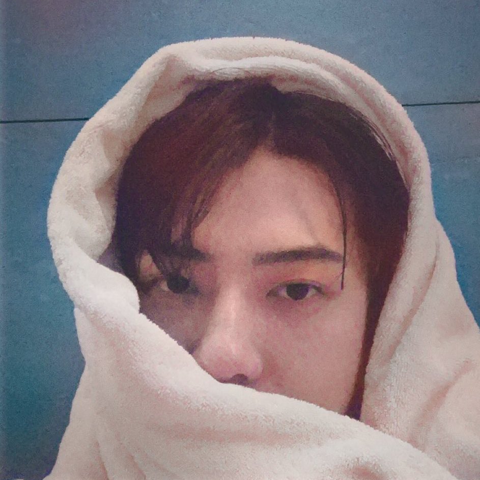 xunhuas's tweet photo. Sehun bringing yet another meme to life 🐱🥺 https://t.co/TGkQJIKtT0