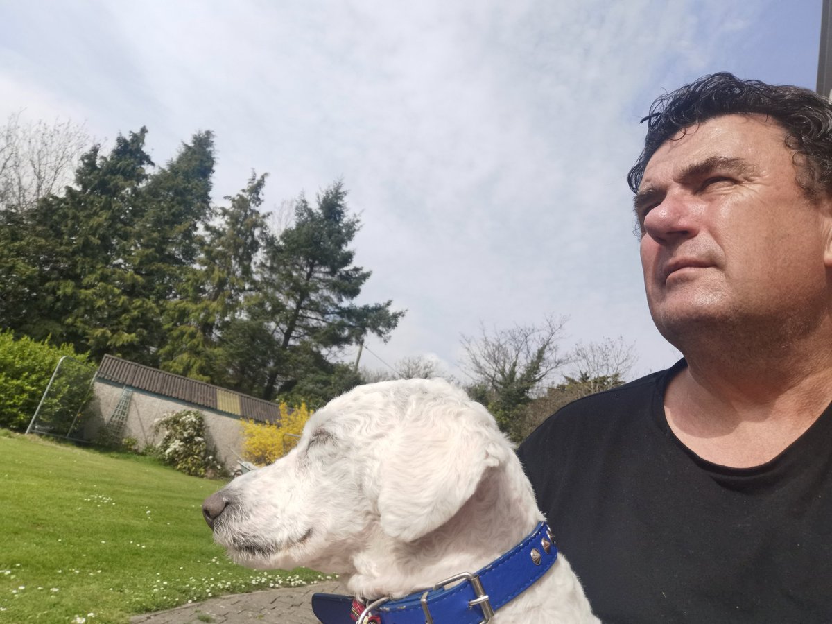 sportsdes's tweet photo. We're deciding which bird we are going to chase... ๐ฆ๐ค #KeepingBusyInLockdown #Birdsong #Spring https://t.co/SPNIci6wHU