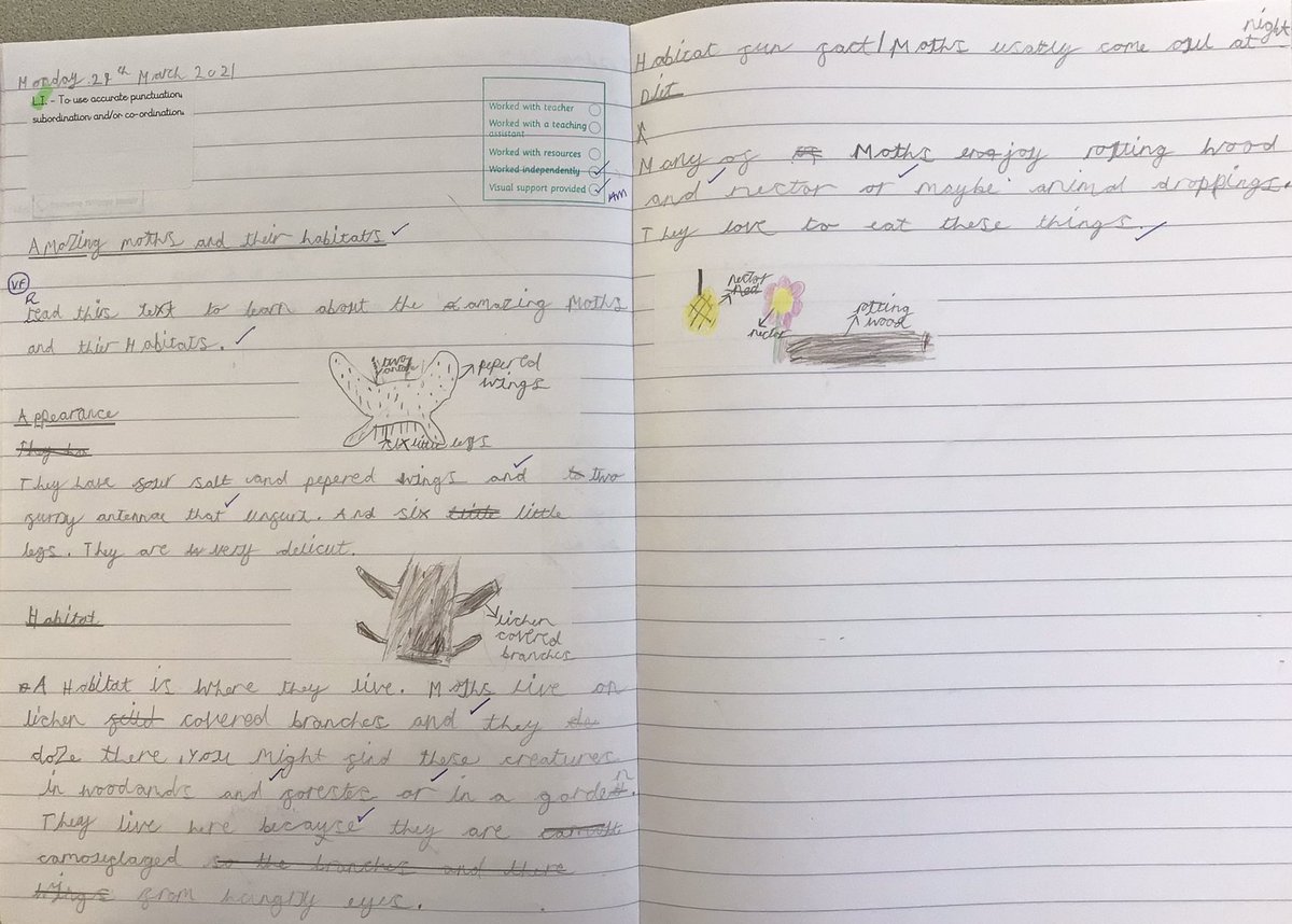 BarnOwls_HMCS's tweet photo. What a beautiful book! We have absolutely loved spending the past few weeks being immersed in Moth-An Evolution Story. #qualitytext #science #thepowerofreading @clpe1 https://t.co/d6Jly4IGXS