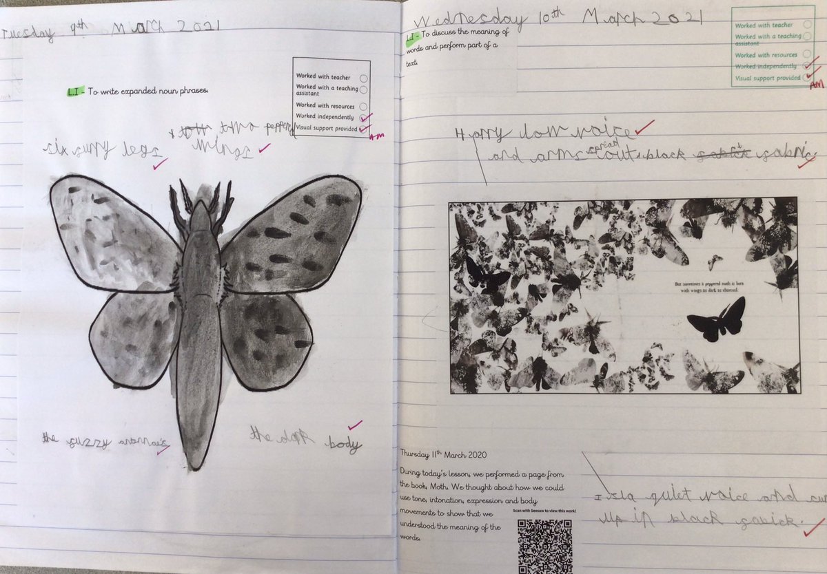 What a beautiful book! We have absolutely loved spending the past few weeks being immersed in Moth-An Evolution Story. #qualitytext #science #thepowerofreading @clpe1