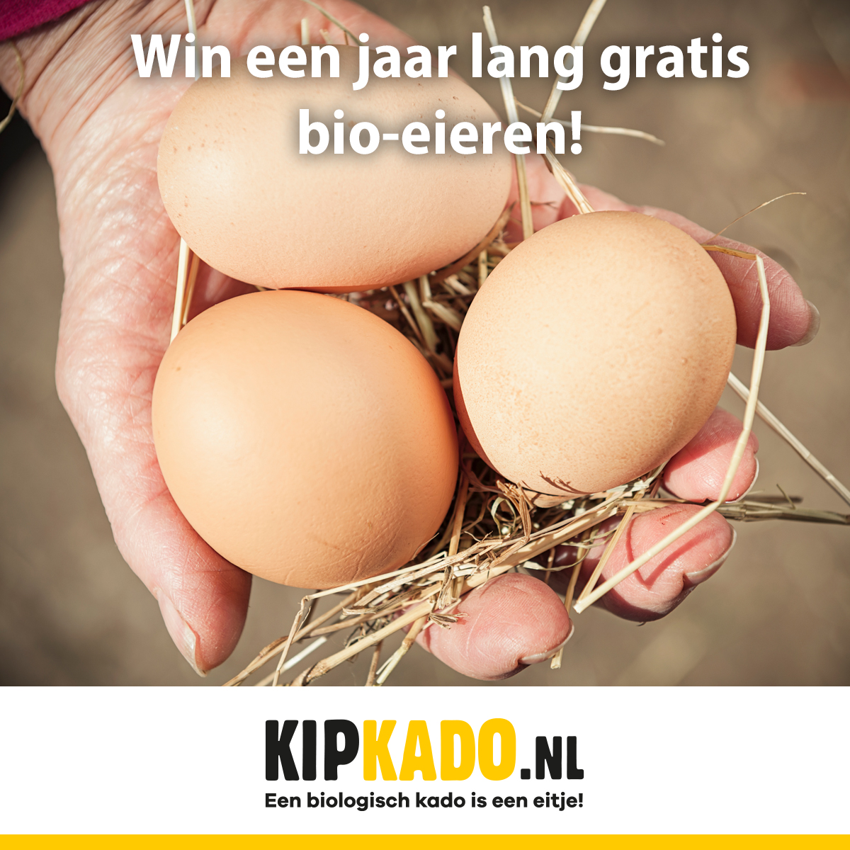 BionextTweets's tweet photo. Op zoek naar het gouden ei! Doe mee en maak kans op een jaar lang gratis biologische eieren! Kijk snel op https://t.co/ma1ED9XHcG
#Kipkado #duurzaam #Pasen #biologisch #bioeieren #goudenei https://t.co/75EHQAaupK