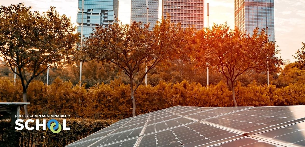 Offsite - Supply Chain Sustainability School tweet media