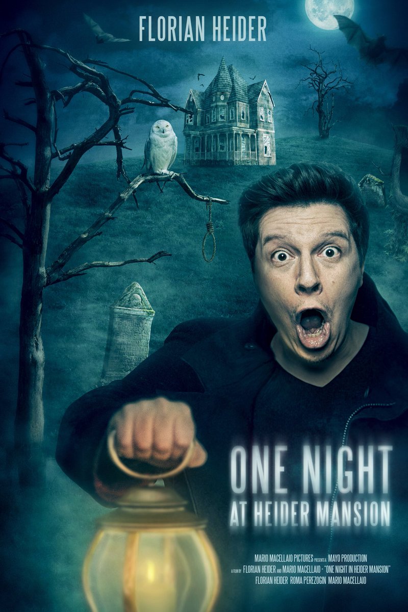 Weitere Beispiele mit einem Foto einer Person + Stockfotos + Bearbeitung (alle ca. 4-5 Stunden Aufwand)