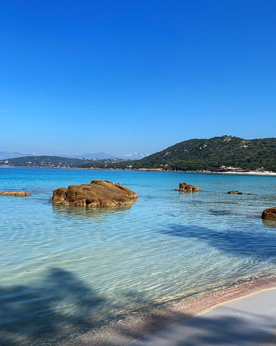 insulaire2a's tweet photo. Mon paradis💙
#Corse #plagedargent #paradise #cestbientotlete https://t.co/eG4McyvInt