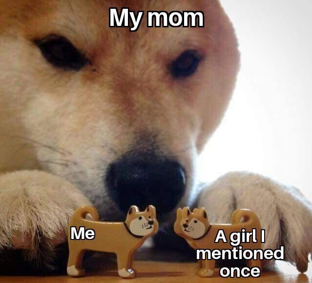 WholesomeMeme's tweet photo. https://t.co/fLGGhAEKLs