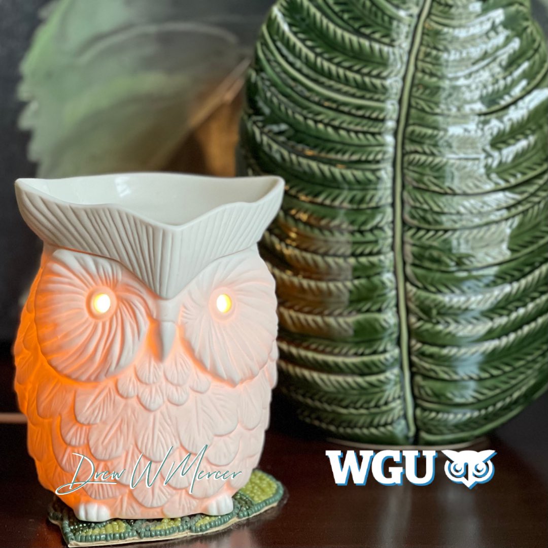 DrewWMercer's tweet image. · 🦉 ·
#wgunightowl #bscs #agency #computerscience #wgunc #wgucomputerscience #wgu #triplecrowncreative #nonprofit #upwork #freelancer #frontend #backend #wordpress #msda #webdevelopment #ui #uiux #userinterface #gigeconomy #digitalnomad #webdev #seo