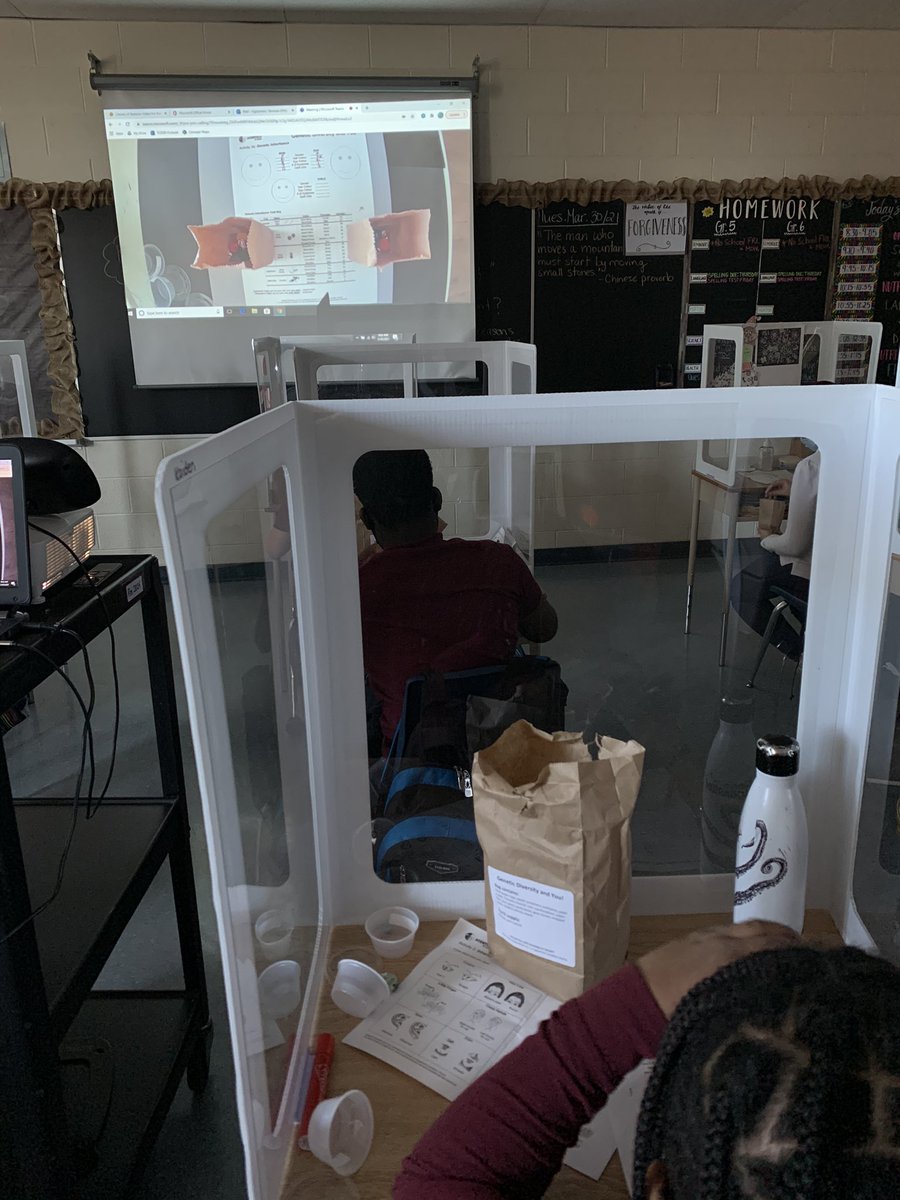 MsFigliomeni's tweet photo. Thank you @Sci_in_School for teaching us about Genetic Diversity! @holychildtcdsb @TCDSB #science https://t.co/4UoSqgdAgK