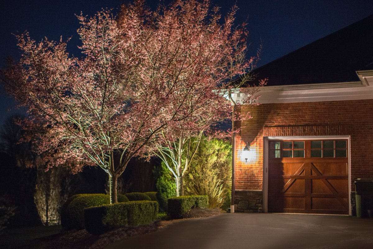 DayloomDesign's tweet photo. Cherry blossoms have hit peak bloom! 🌸 We love how the stately and elegant cherry tree radiates at night with the help of a little landscape lighting #CherryBlossomDC https://t.co/GjMdzPzwGA