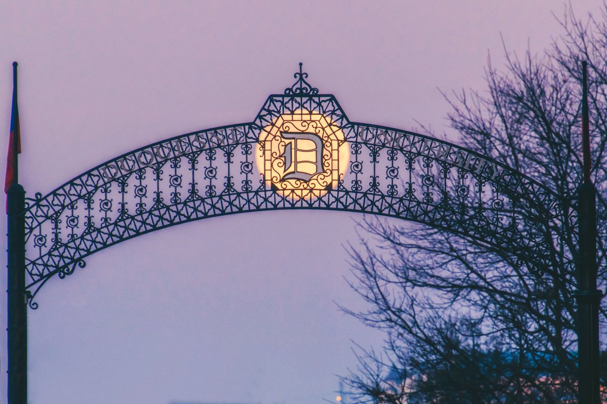 Dave DiCello tweet media