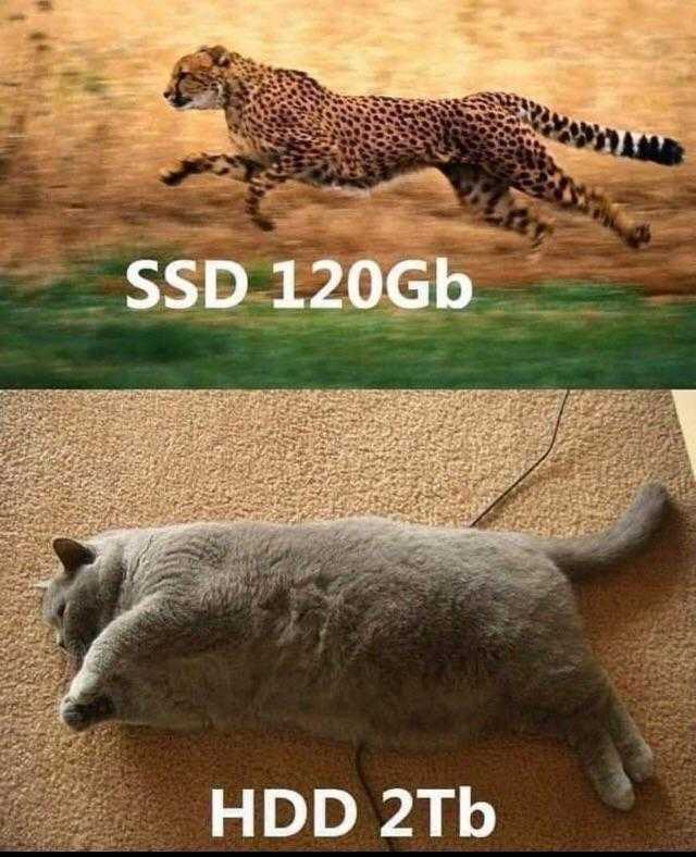 ProgrammerCats's tweet image. My hard drives in a nutshell (not my meme).