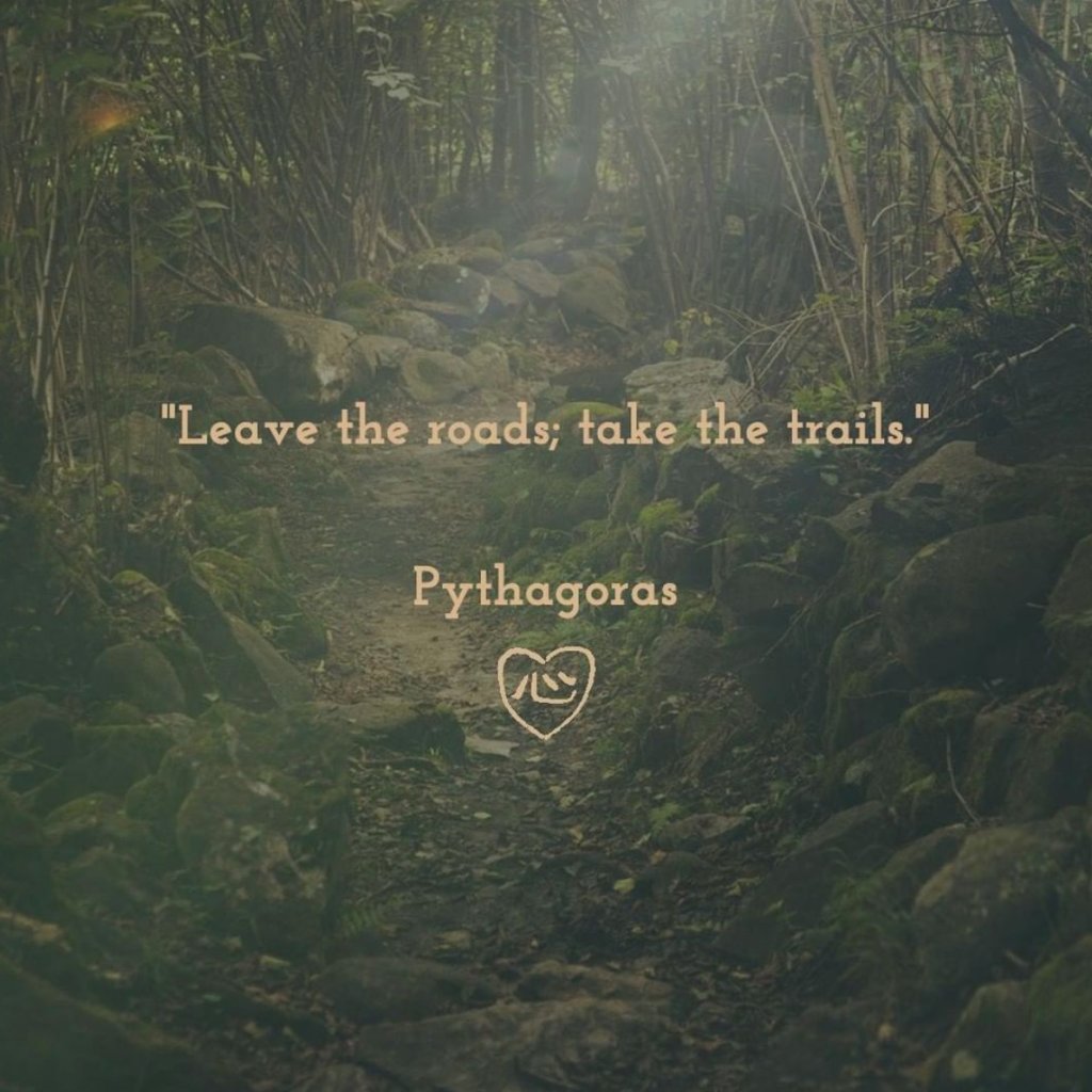 Leave the roads; take the trails.⠀
Pythagoras⠀
⠀
#gin #kokorogin #kokoro #afanwoodland #afan #Nagano #japanesealps #japan #japanese #japanesegin #londondrygin #londongin #Sansho #Sanshoberry #Sanshoberries #drinkgin #gindrinkers #gintasting #ginstagram #gincocktail