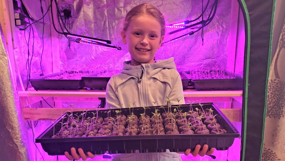 Bruce Hallihan tweet media