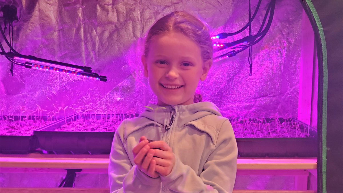 Bruce Hallihan tweet media