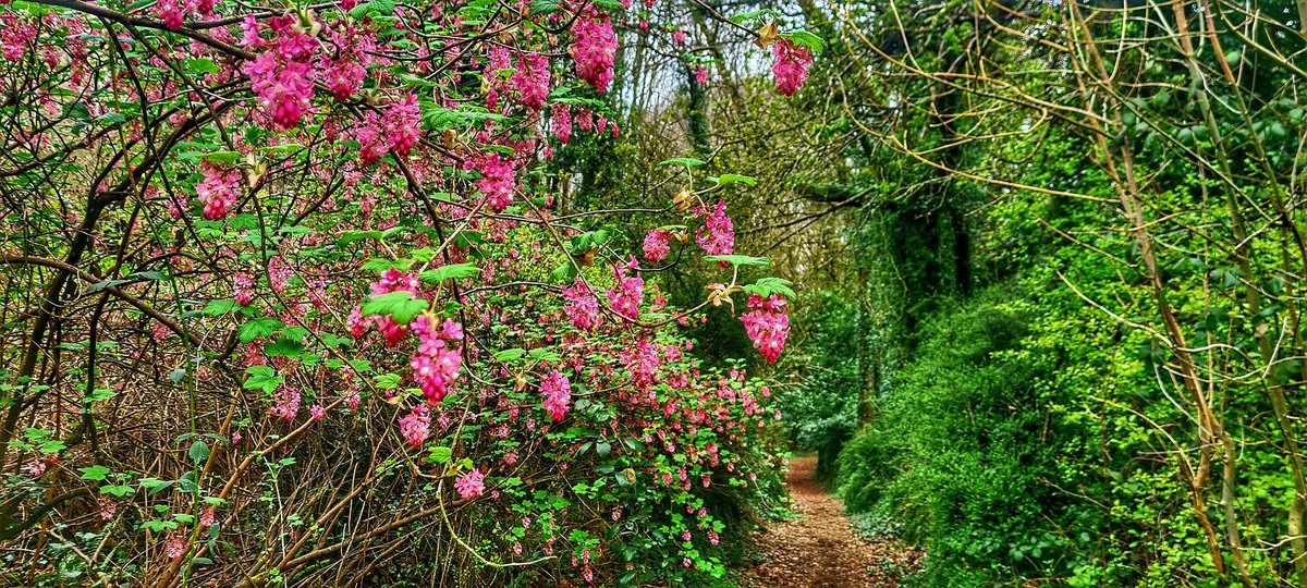 JamesCarlislef1's tweet photo. Lovely to see the park bursting into life once more ๐บ๐ณ#DunaRi https://t.co/yYiiBdWtft