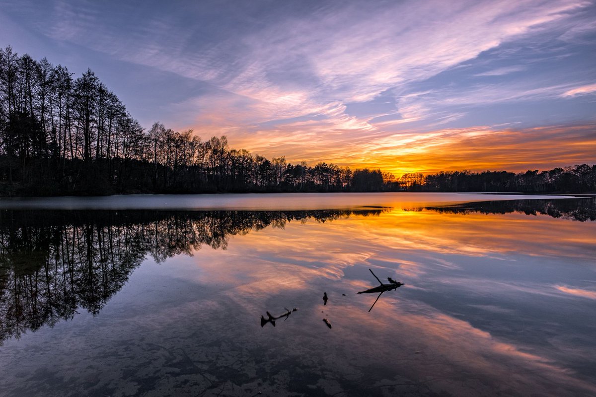 GuruShots tweet media