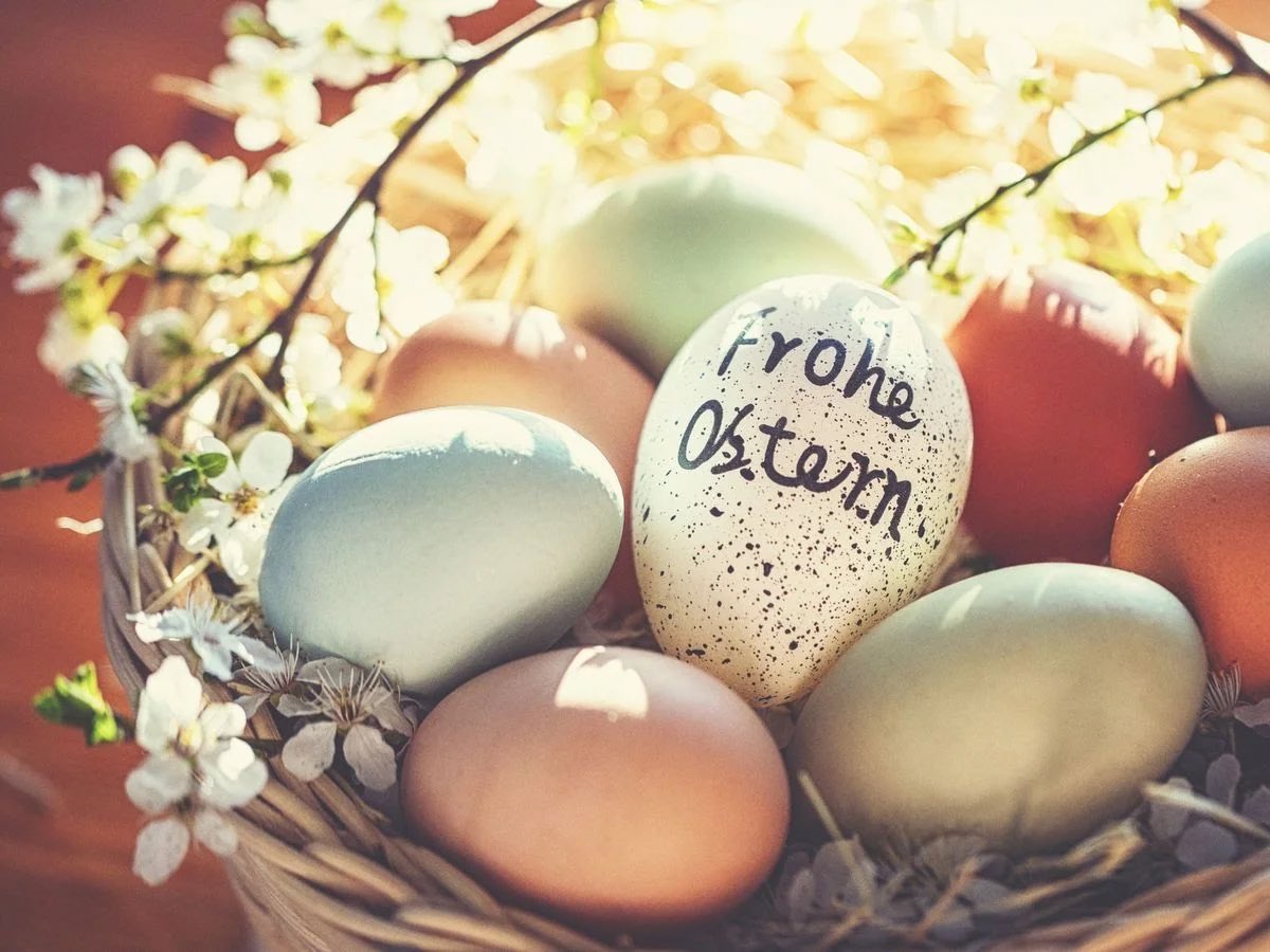 auciftder's tweet photo. Wir wünschen euch ein frohes Osterfest und schöne Feiertage! 

Paskalya Bayramınızı kutlar ve iyi tatiller dileriz. https://t.co/2z7KAMfffn