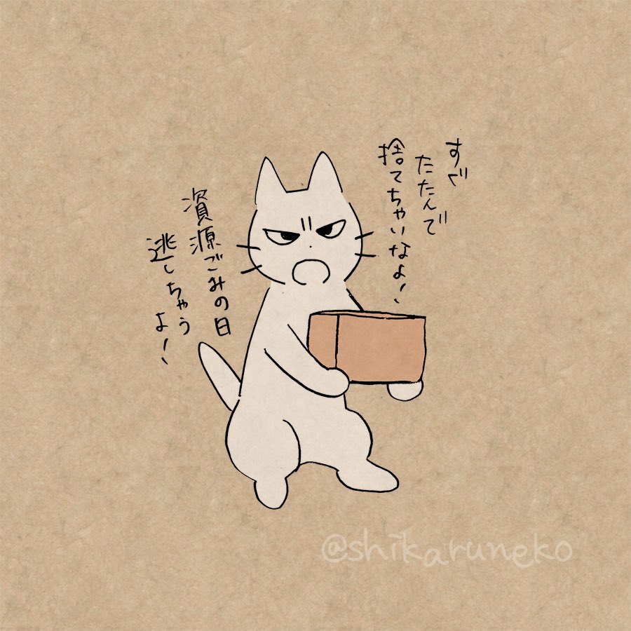 空き箱を置きっぱなしにする人と、しかるねこと、あまやかすねこ 