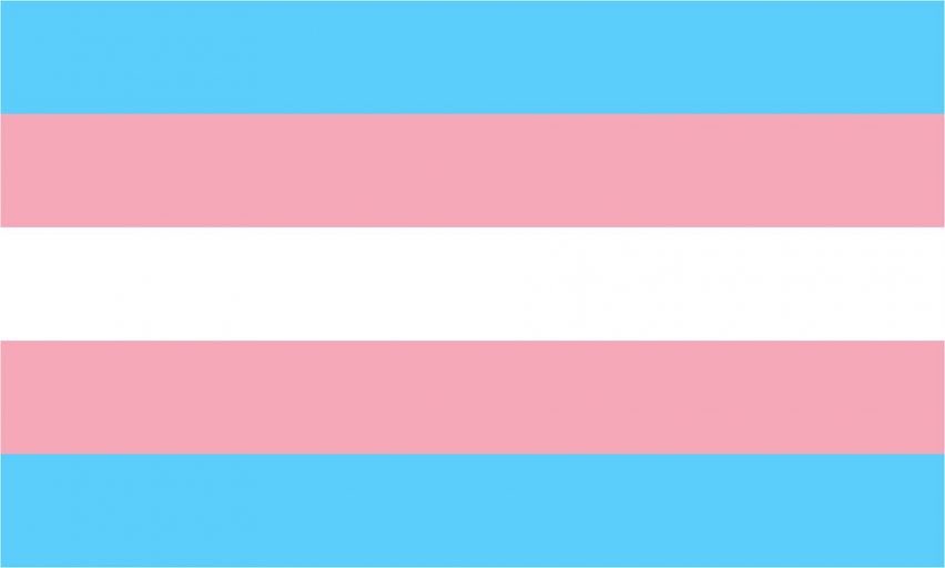 socalledcharlie's tweet photo. Happy #TransDayOfVisibility to all the wonderful trans and non-binary people! And if you’re still in the closet or don’t want to come out yet today is for you too. 🏳️‍⚧️ https://t.co/HenFEWheMd
