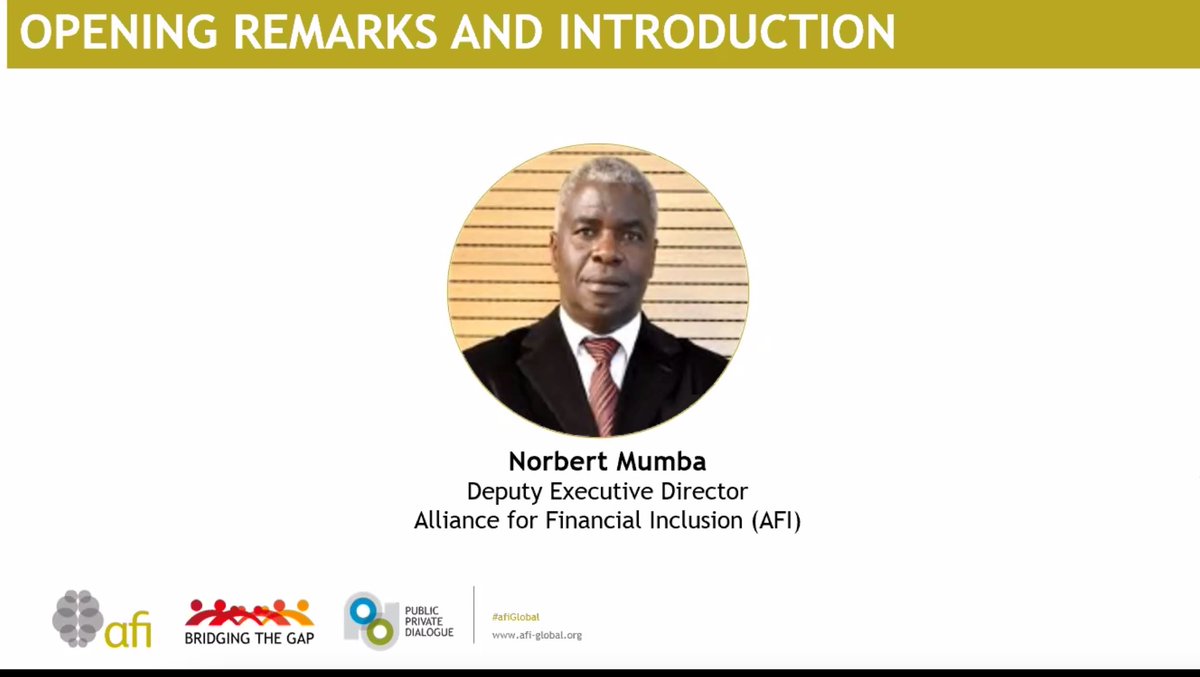 NewsAFI's tweet photo. Poverty is most pronounced in rural areas and #financialinclusion progress is hampered by persisting social, cultural, infrastructural & regulatory barriers, reducing #women’s opportunity to be financially included-AFI DED @normumba at #afiPPD virtual meeting.
@Sida #GlobalGoals https://t.co/moI4D7oQ8V