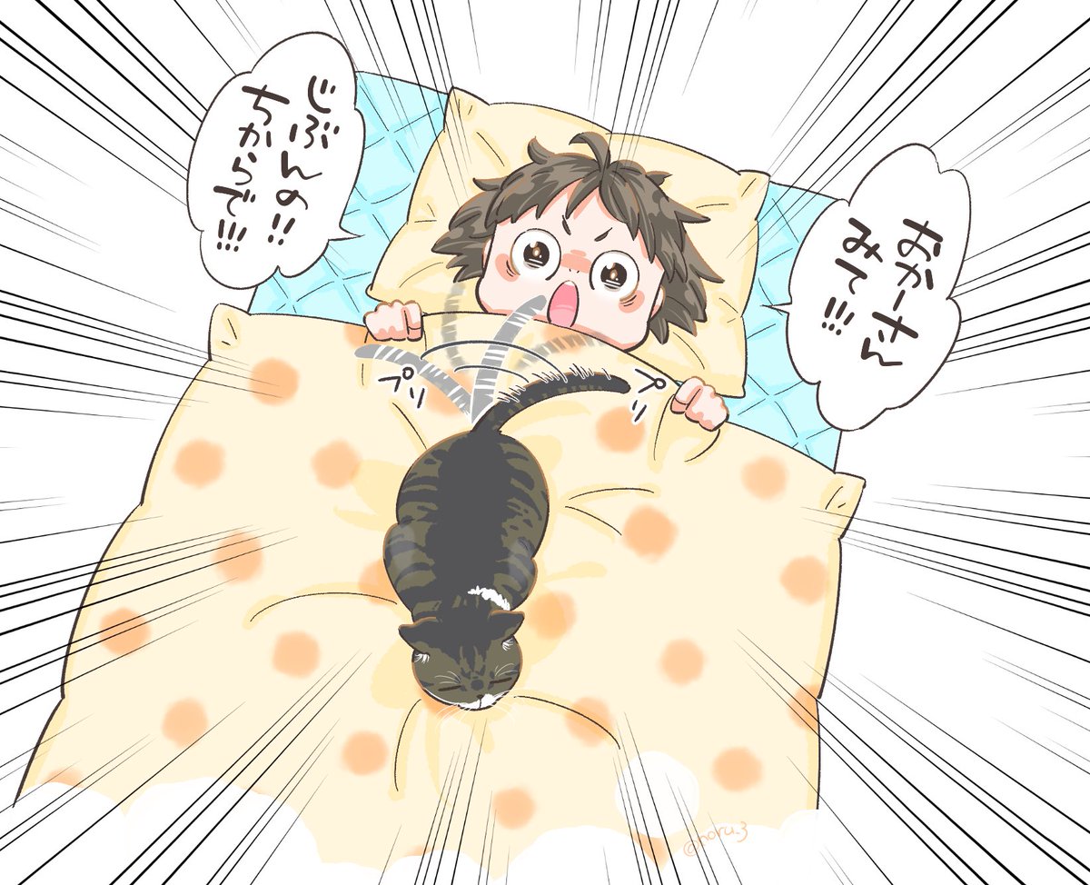 はじめて母の手を借りずに猫が乗って来てくれた喜びを表すセリフ 