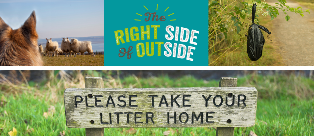 DiscoverNI's tweet photo. Remember to be responsible when you're out and about on your daily walks 🚶

🚮 Wherever you go, take your litter home with you #RightSideOfOutside 

#EmbraceAGiantSpirit #DiscoverNI @WalkNI https://t.co/dxBfi1RCMh