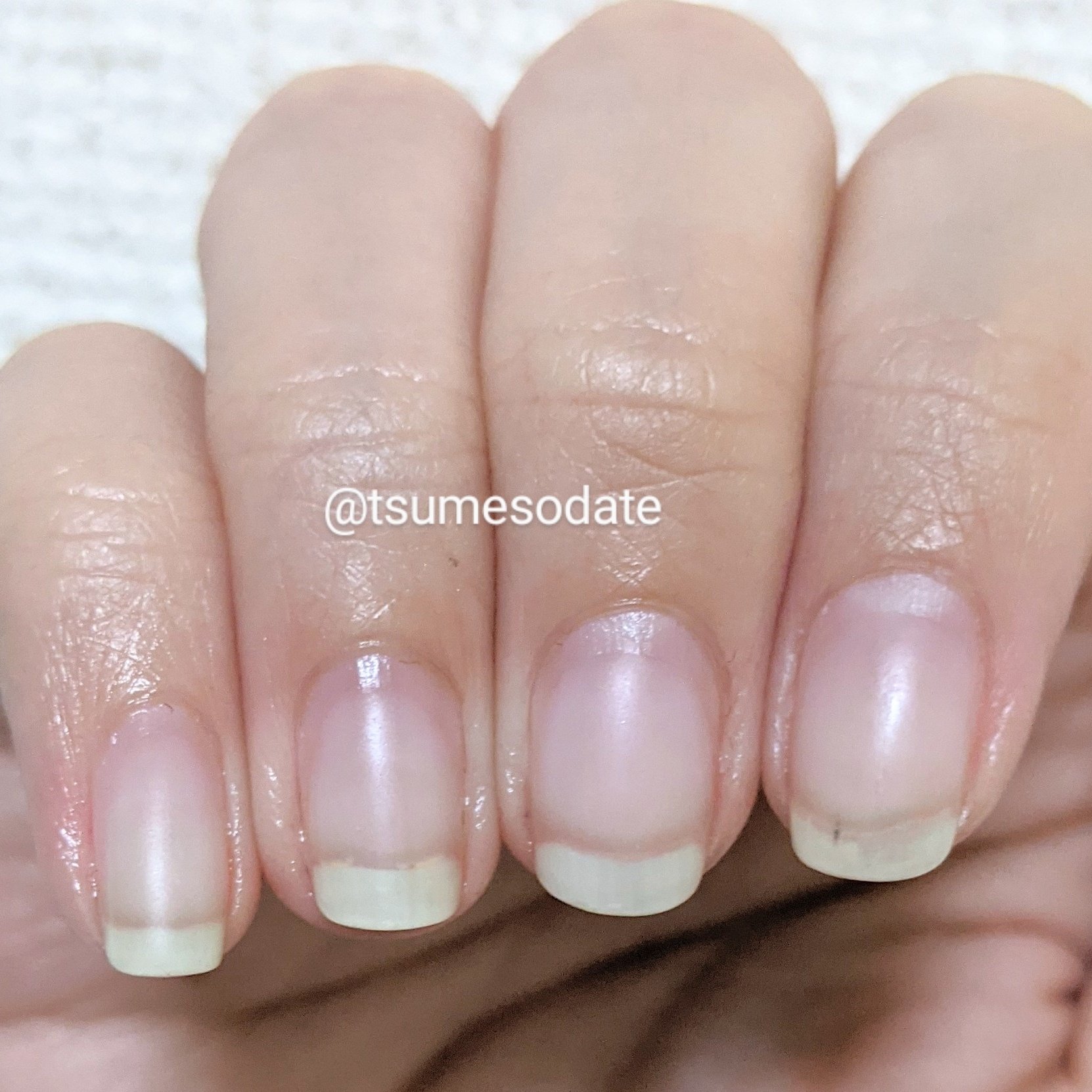 よこお 育爪 Tsumesodate Twitter