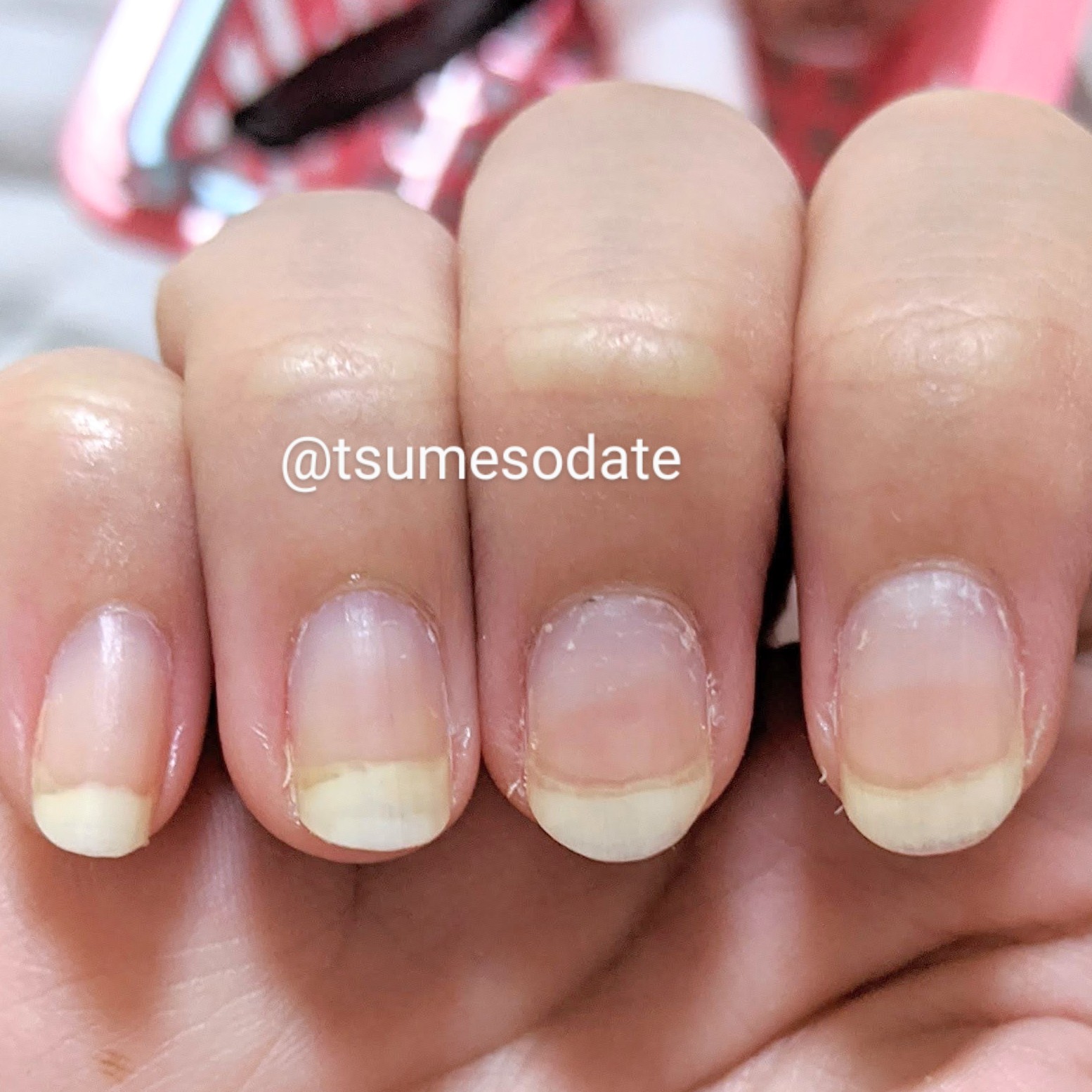 よこお 育爪 Tsumesodate Twitter
