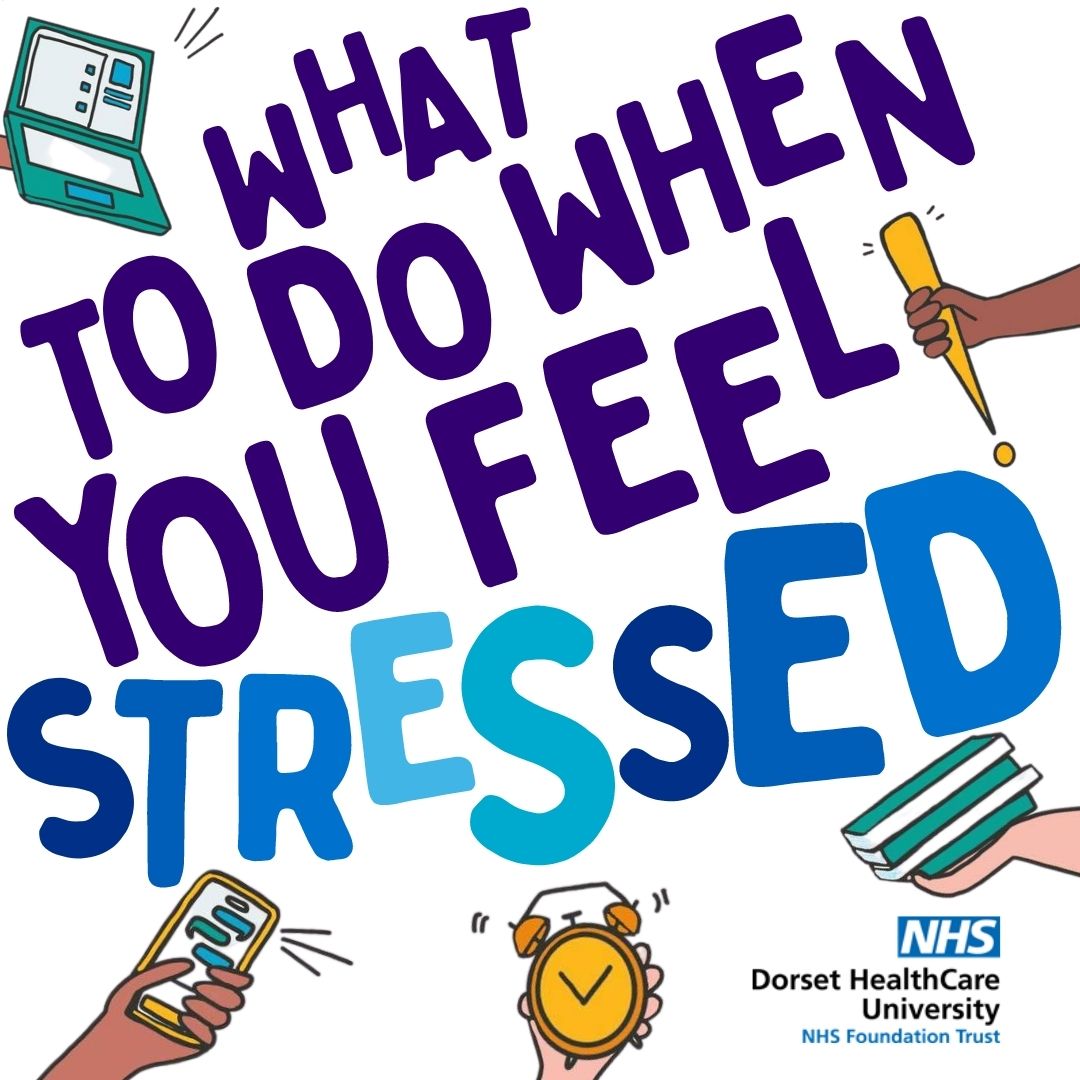 Camhs Dorset Online tweet media