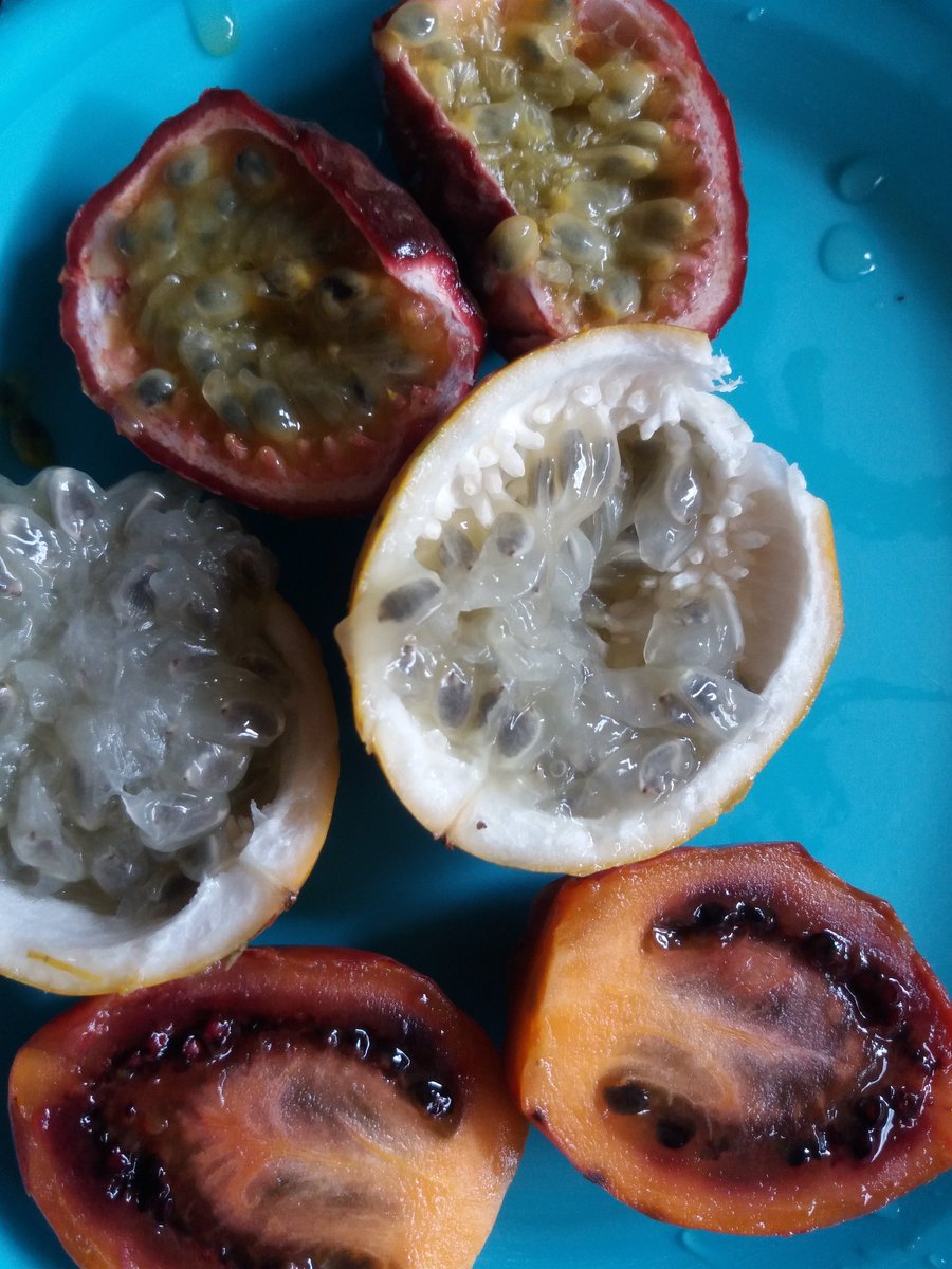 WanjaNjubi's tweet image. Waiting for business tips as I enjoy my passions.
#Uradi #Hot96Drive @bensu_mk @patrickigunzah @KJeremiahN @veranvii @kuidaniel2008 @VictorMtakatifu @Edwardmbugua2 @Gaddaficnia @NjirePattizo @wanene_wanduta @Hot_96Kenya