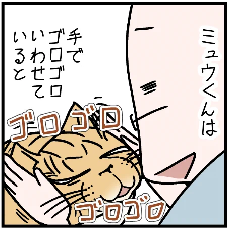 ミュウくん、オマエやっぱり・・・w#ニャンコ  #まんが #マンガ #猫  #ねこ #猫あるある #猫漫画 #ペット #飼い主 #エッセイ漫画 #キャット #ねこのいる生活 