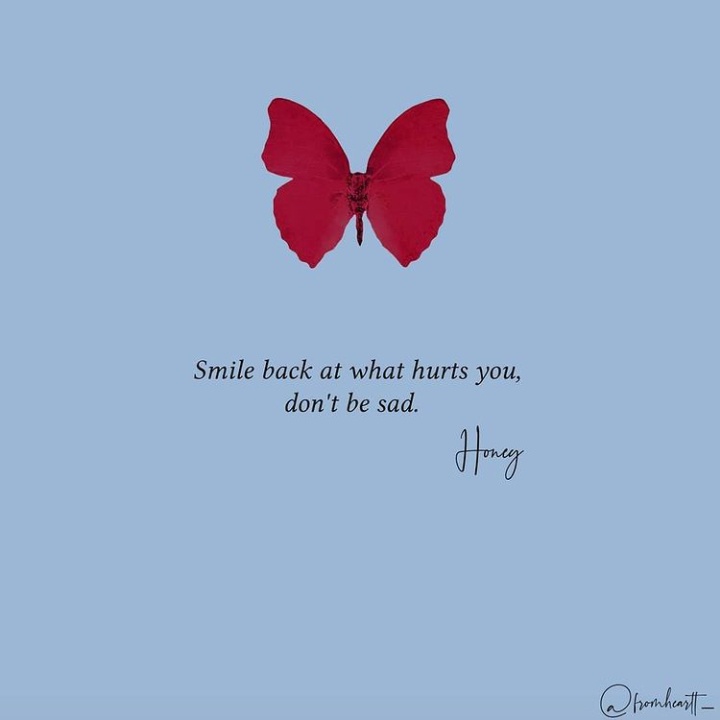 rubyreyreano's tweet photo. ❣️👌 #quoteoftheday #quote https://t.co/txPAmoGKif