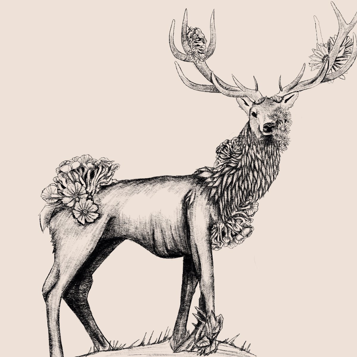 Somethings a little... Off about this place.
The wildlife is strange and I keep hearing things.

I'll keep you posted.

#ConceptArt #Creatures #artist