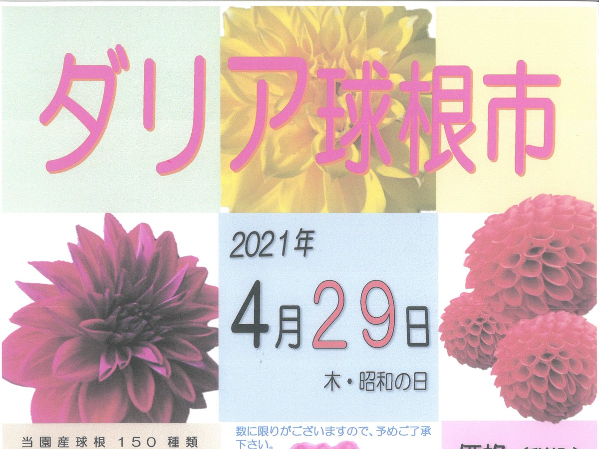 ট ইট র 町田市観光コンベンション協会 町田ダリア園 ダリア球根市 4月29日 木 祝 町田ダリア園にてダリア球根市開催町田ダリア園産球根150種類約1 000球を大放出 9 00より整理券配布 時間9 30 15 00まで 数に限りがございますので予めご了承