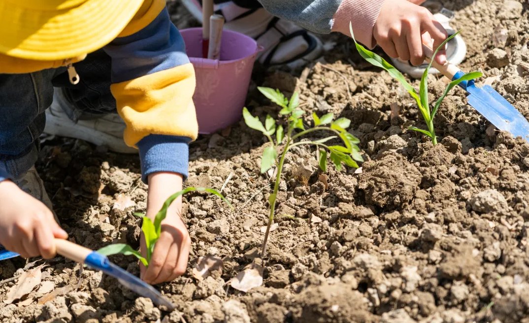 Kunshan_China's tweet photo. Spring is the best teacher for children: Have a close communication with spring here in Xiangcun village!
“Hey, little ones, grab your buckets and spades, let’s make a new home for these tiny green seedlings.” #KunshanInSpring #ChildrenInKunshan https://t.co/lBepcLQPn2