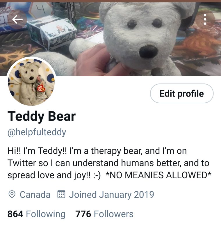 Teddy Bear 🇨🇦 tweet media