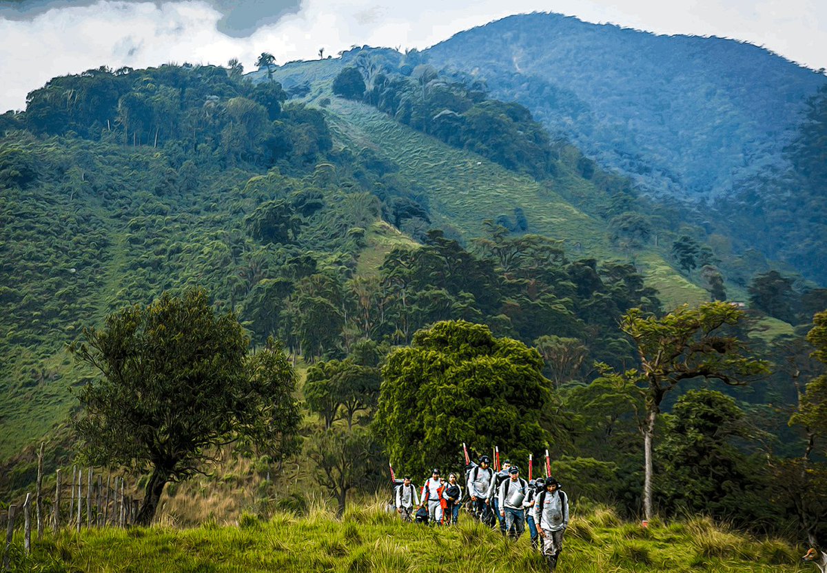 UNMAS's tweet photo. Seeking to find and destroy landmines in Colombia, long walks, dense vegetation, steep hills... persevering. Visit UN Mine Action exhibit ➡️Perseverance-Partnership- Progress ➡️ https://t.co/QI1sBwD10i
#3PMA #IMAD2021 @UNExhibitsNY1 @onucolombia
@SwedenUN @FondoONUCol @EUatUN https://t.co/1CeEUNwaSp