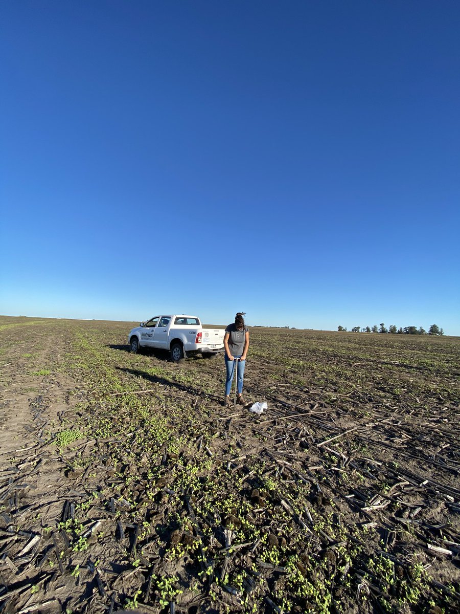 Para maximizar el rendimiento de tu lote, la fertilización adecuada es una de las claves.

Y para eso, necesitas conocer el estado nutricional de tu lote. 

Nosotros arrancamos con muestreos en lotes que van a pastura. Vos, ya planificaste muestrear tu suelo?