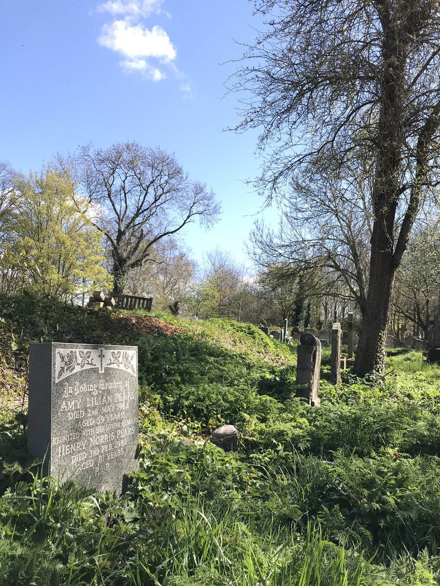 Abundance York (a project from Edible York) tweet media