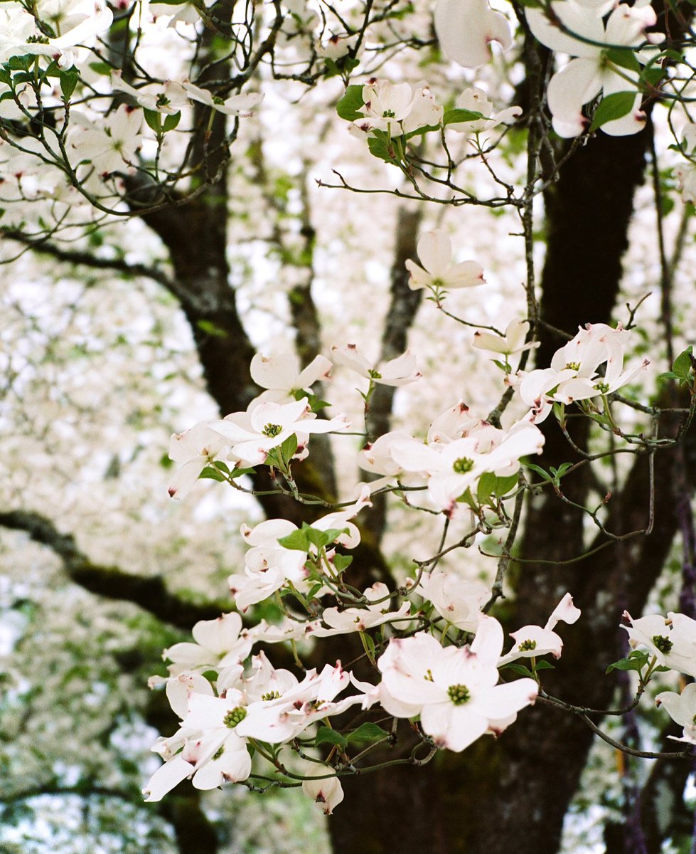 Spring / Summer for commonculture.co