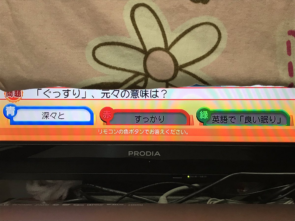 ট ইট র 田川 結貴 今日は青 緑 緑の順番にしたら お天気検定しか合わなかった 今日は緑 緑 青だったか 今日はエンタメ検定がwポイント ボーナスポイント 正解者のみ ことば検定プラス が1 お天気検定 が6 エンタメ検定 が2 今日は9