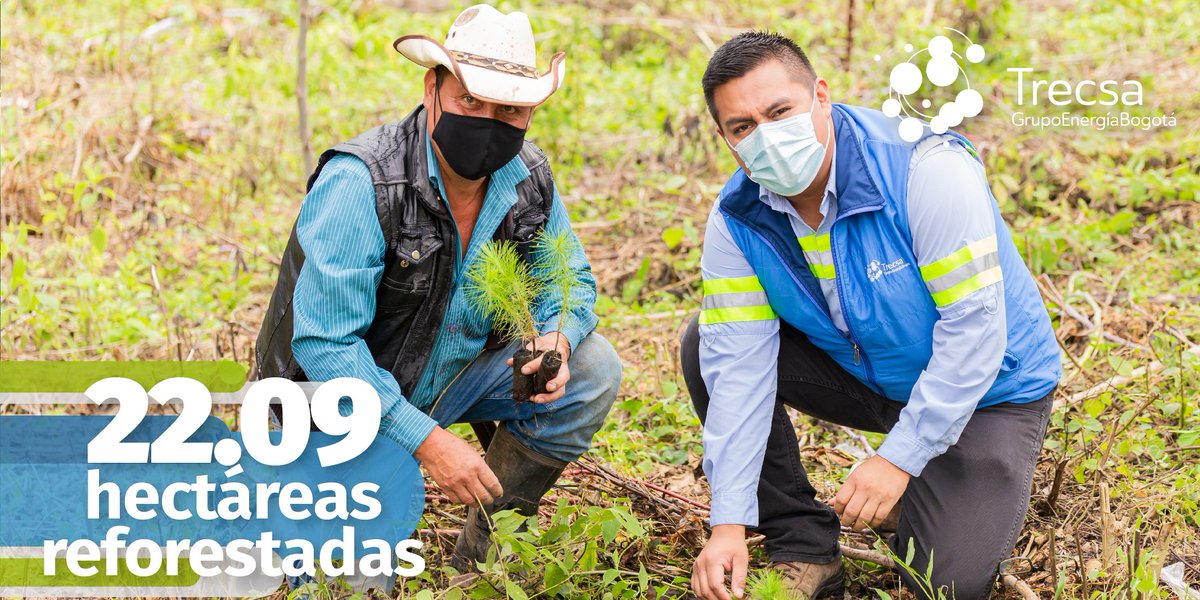 Como parte de nuestra Política de Sostenibilidad, a la fecha hemos reforestado 22.09 hectáreas de bosque voluntariamente #TrecsaConecta con la preservación del ambiente.