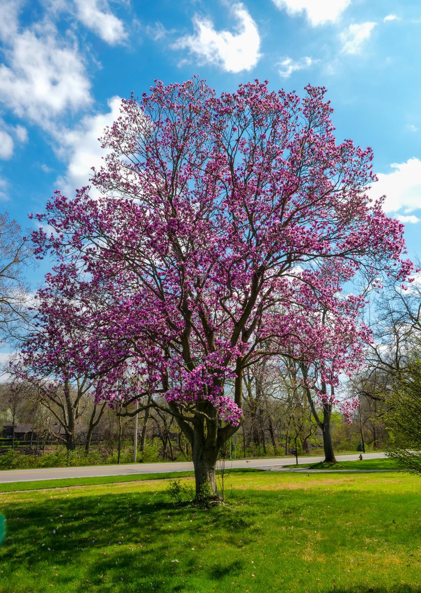 Peak Spring in South Bend