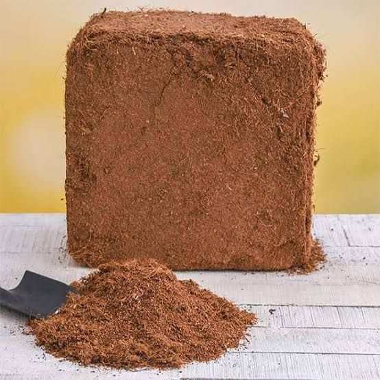 SMVEXPORTS's tweet photo. Coconut Coir Pith 5 Kg Blocks Wholesale Suppliers | 8mm Seived Coco Peat Bricks Manufacturers and Exporters in India.
#smvexports #coconutcoir #coirpith #cocopeat #cocopith #5kgblock #lowec #coirblock #cocobrick #washedcoirpith #seived #coirpeat #manufacturer #supplier #exporter https://t.co/ugkjAiQbhJ
