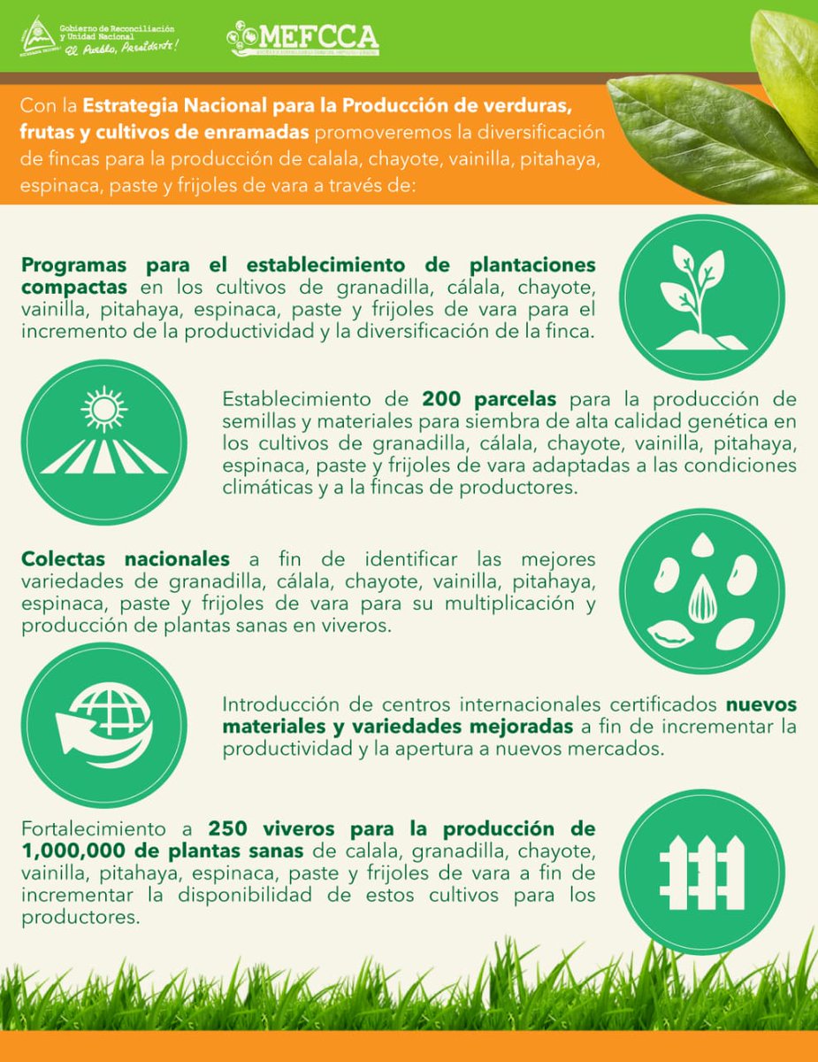 MinEmpren's tweet photo. Te compartimos información sobre la Estrategia Nacional para la Producción de verduras, frutas y cultivos de enramadas.
#MEFCCA #SNPCC #2021EsperanzasVictorias https://t.co/JkuPLZH9Nh