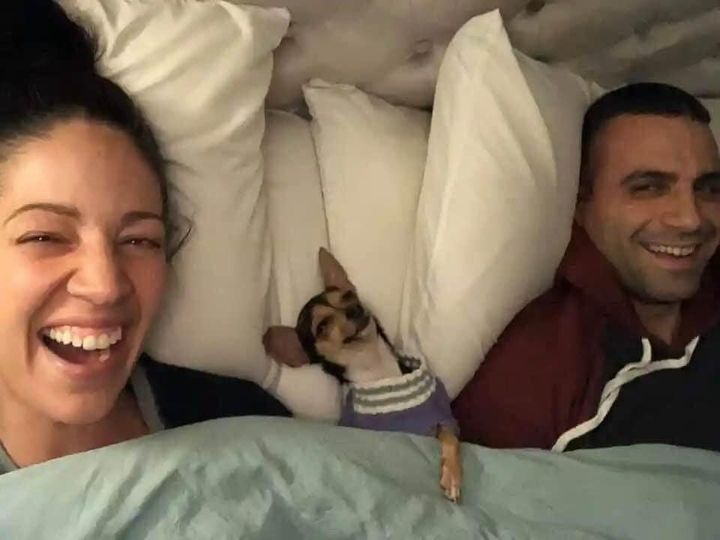 wordlikes's tweet photo. First Night from the shelter to his new home...the dog. https://t.co/1LfIxeq6rD