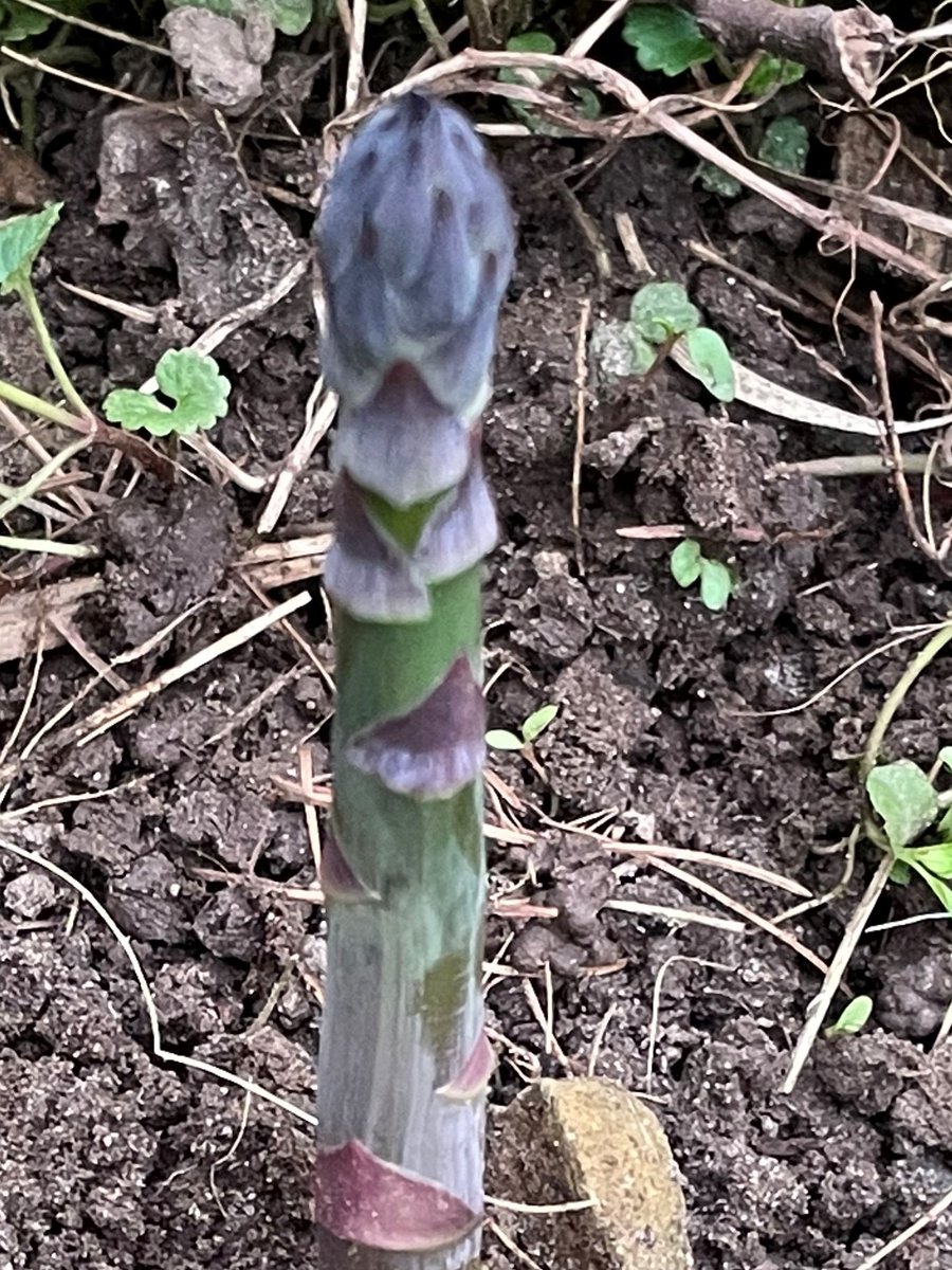 Hello Darlin', nice to see you. 🎻🎻🎼🎵🎵🎵🎶 It's been a long time! 🎶🎶🎵🎵🎸