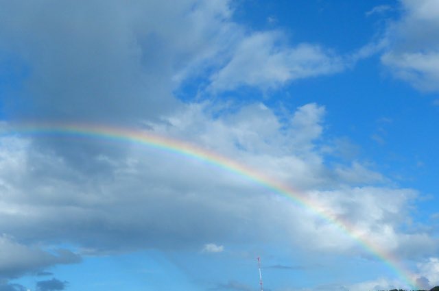 تويتر 異常干支 البحث في تويتر