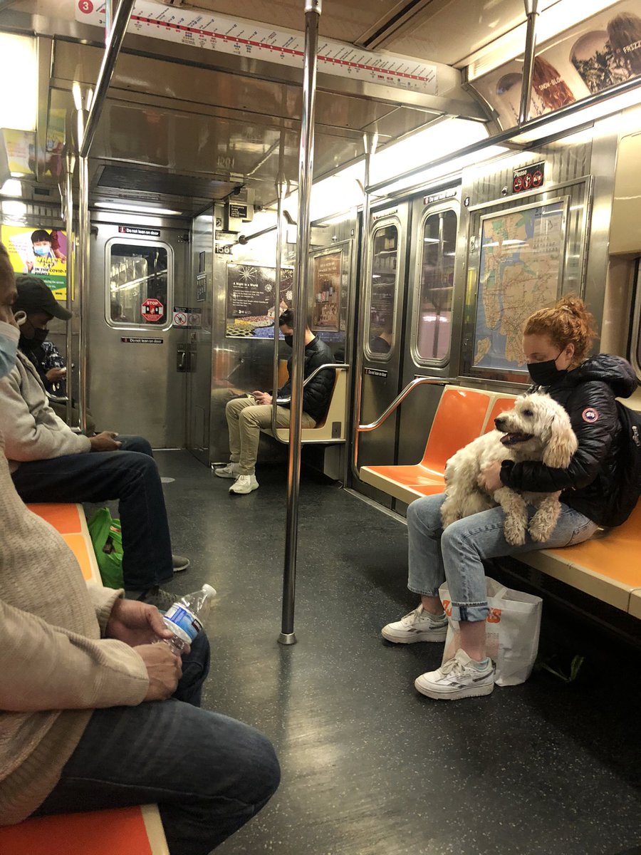 sangitakhadka's tweet photo. Today, after a year commuting in #NYC subways & @LIRR ! #NYLockDown #COVID19 https://t.co/Un8ZhJ5F2x