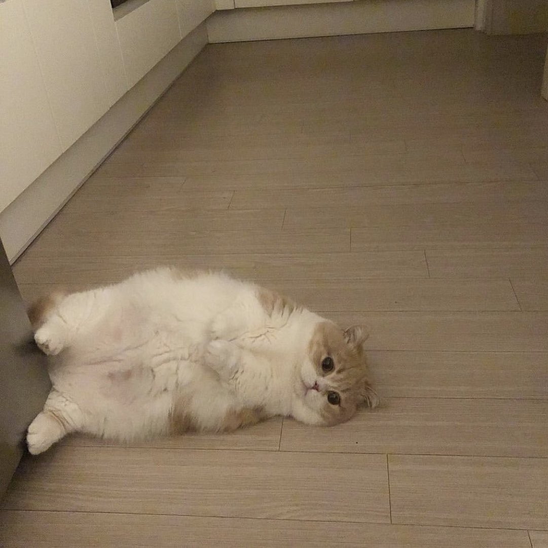 PAVGOD's tweet photo. when u feel a sudden wave of ˢᵃᵈⁿᵉˢˢ https://t.co/hRs82vVp4R